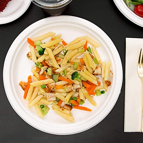 LUSKA Sugarcane Bagasse 100% Natural 9 inch Round White Plates, Biodegradable, Compostable, Disposable, Safe & Hygienic, for Parties and Family Events, (Pack of 25)