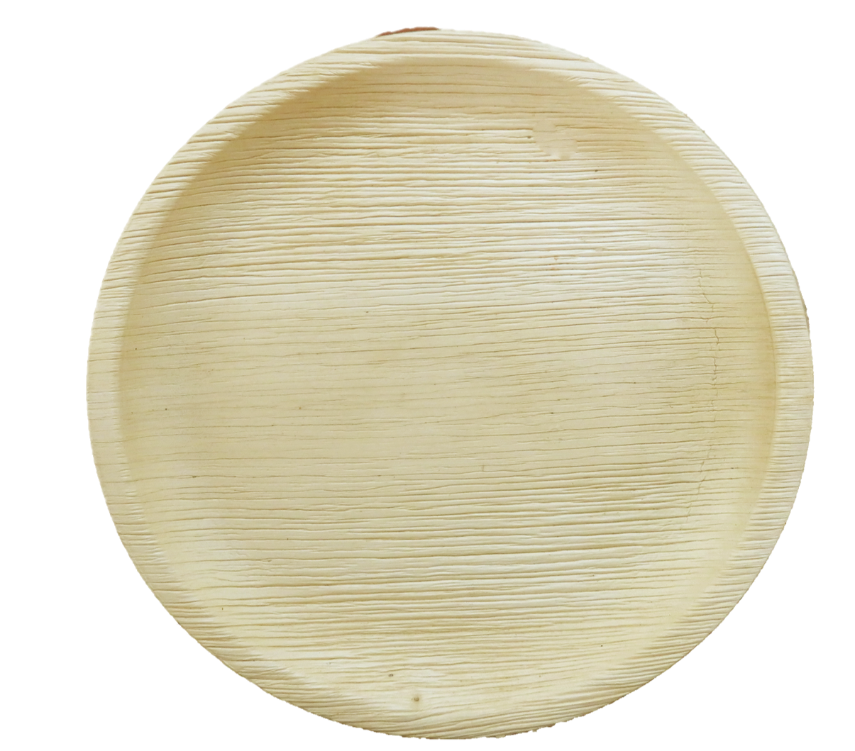 LUSKA 100% Biodegradable 10 inch Areca Plates, for Parties and Family Events, Disposable (Pack of 25)